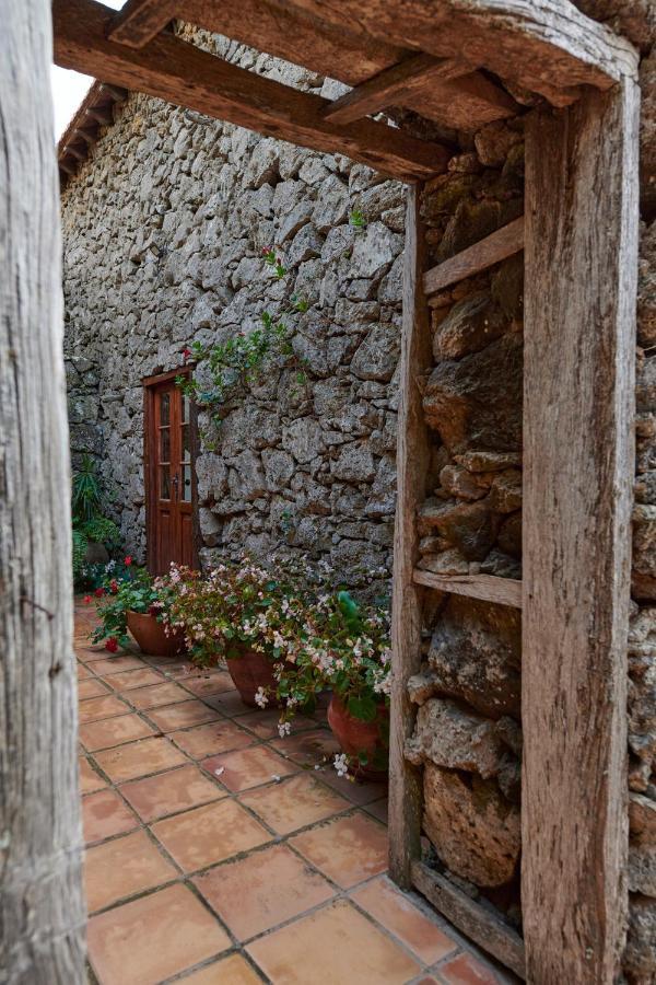 EreseCasita Pedro Gonzalezアパートメント エクステリア 写真